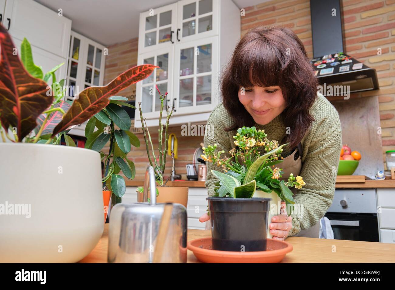 Sorridente donna caucasica che annusa e si prende cura delle sue piante a casa. Piante interne e di casa. Foto Stock