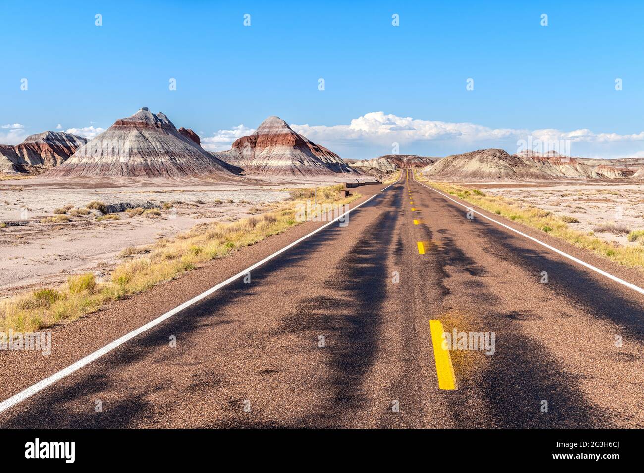 La remota strada nel cuore del Parco Nazionale della Foresta pietrificata mostra lo splendido paesaggio montano del deserto dipinto durante gli sceni Foto Stock