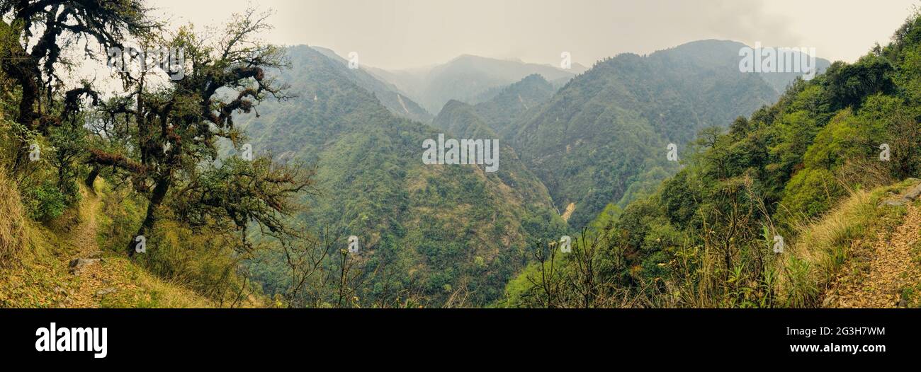 Scenic panorama di profonda valle verde in Nepal su Kangchendzonga trek Foto Stock