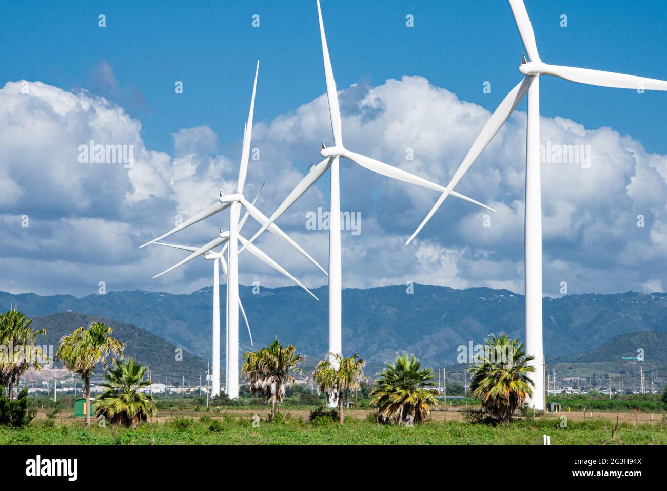 Un'azienda eolica a Porto Rico che produce energia pulita e rinnovabile. Spazio di copia. Foto Stock