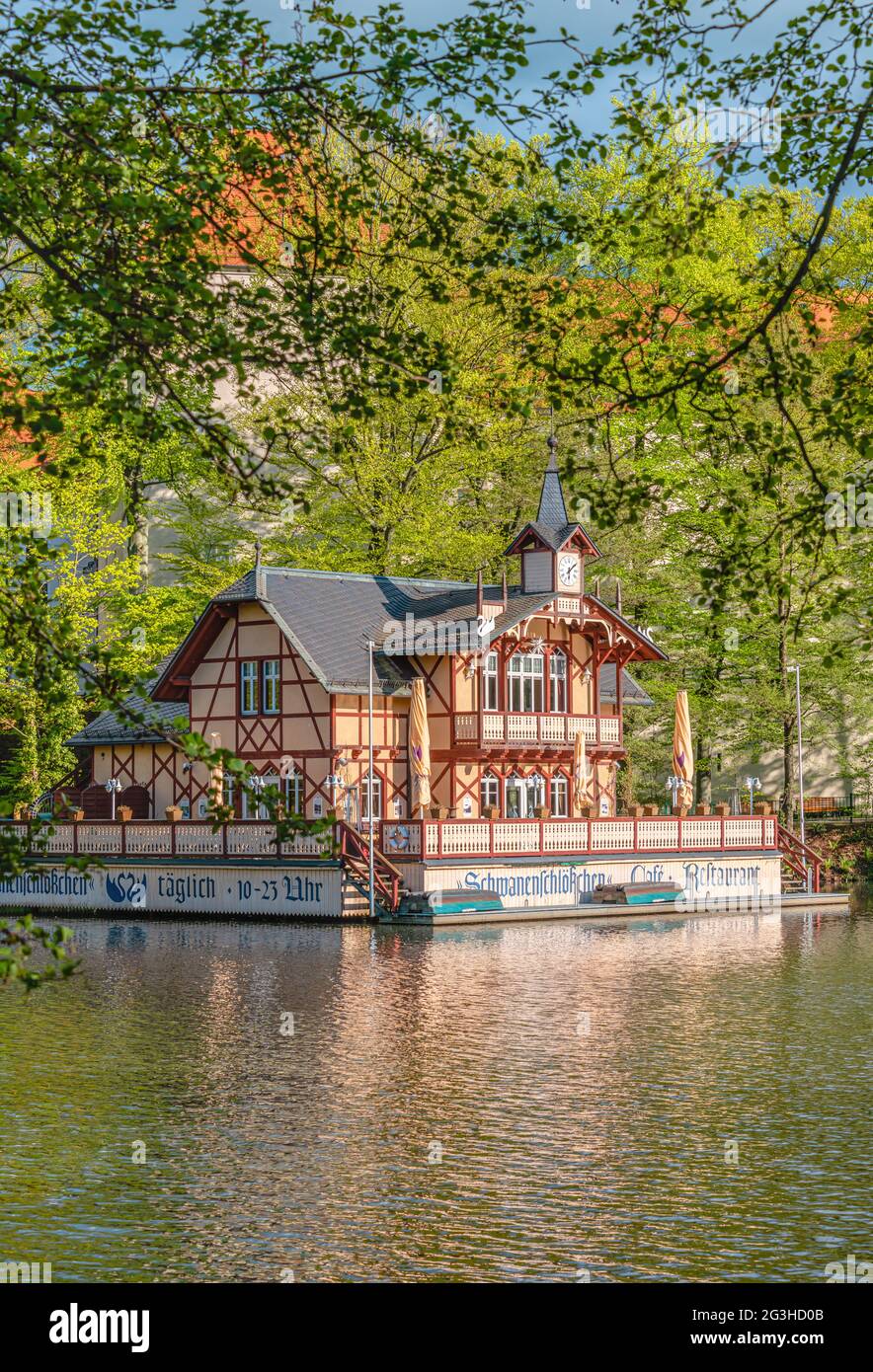Castello di Swan al Kreuzteich nel Parco Albert di Freiberg, Sassonia, Germania Foto Stock