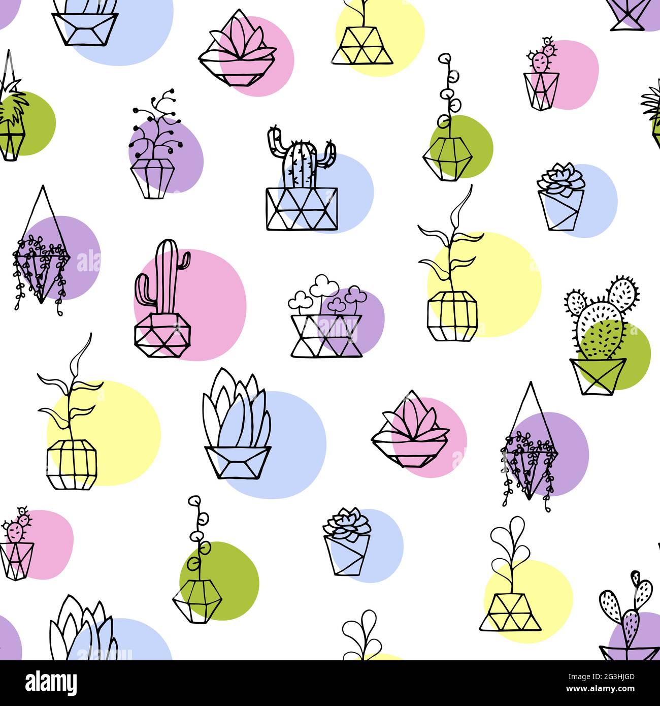 Modello vettoriale senza cuciture piante di doodle con cerchi colorati. Foglie, succulenti e cactus disegnati a mano con vaso interno in polietilene sfaccettato. Molla co Illustrazione Vettoriale