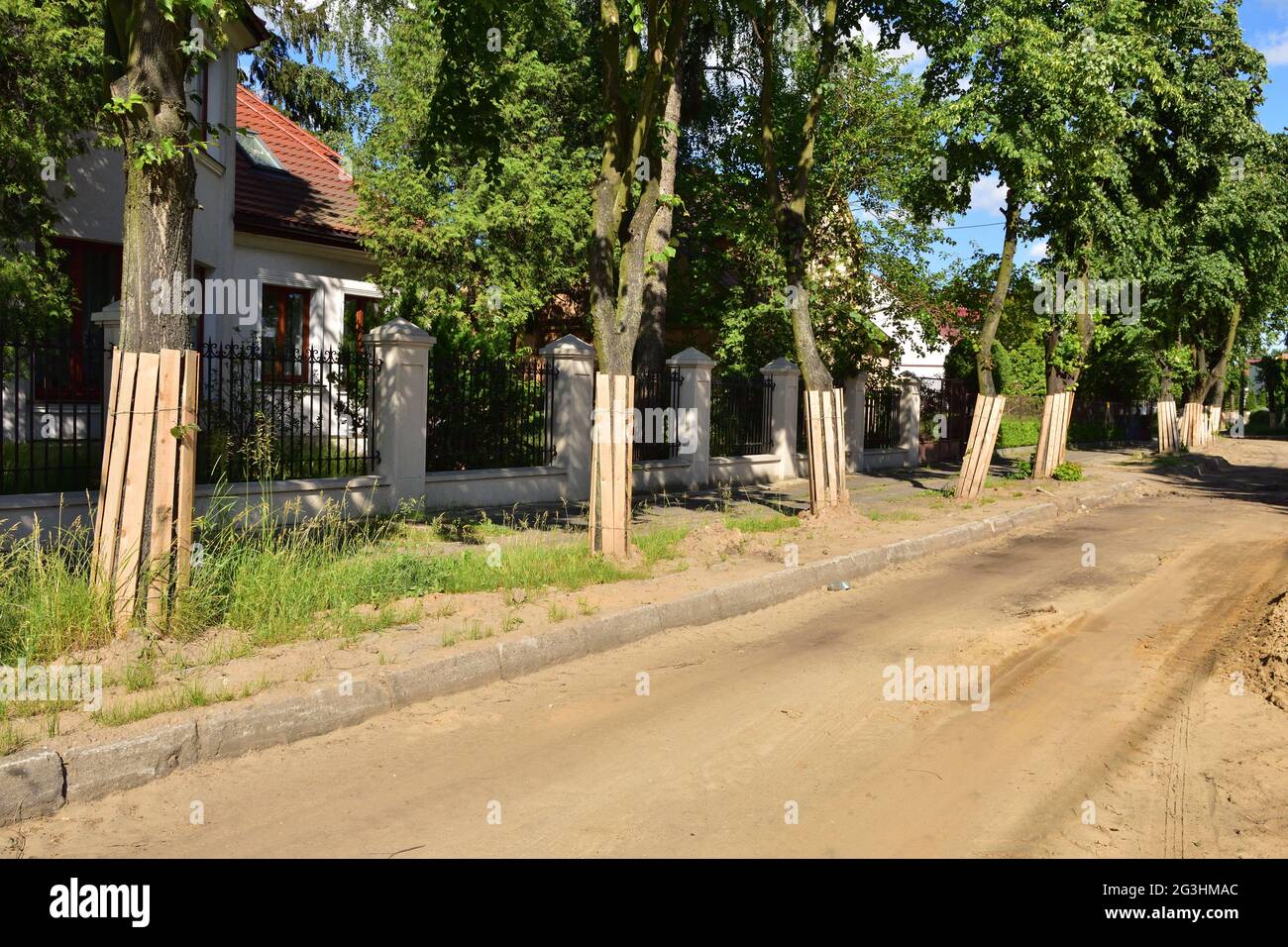 Protezione degli alberi durante il rinnovo della strada in città. Ambiente. Foto Stock