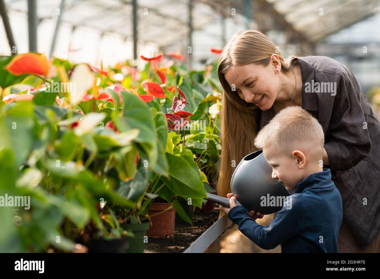 Mamma aiuta il figlio fiori d'acqua nella serra Foto Stock