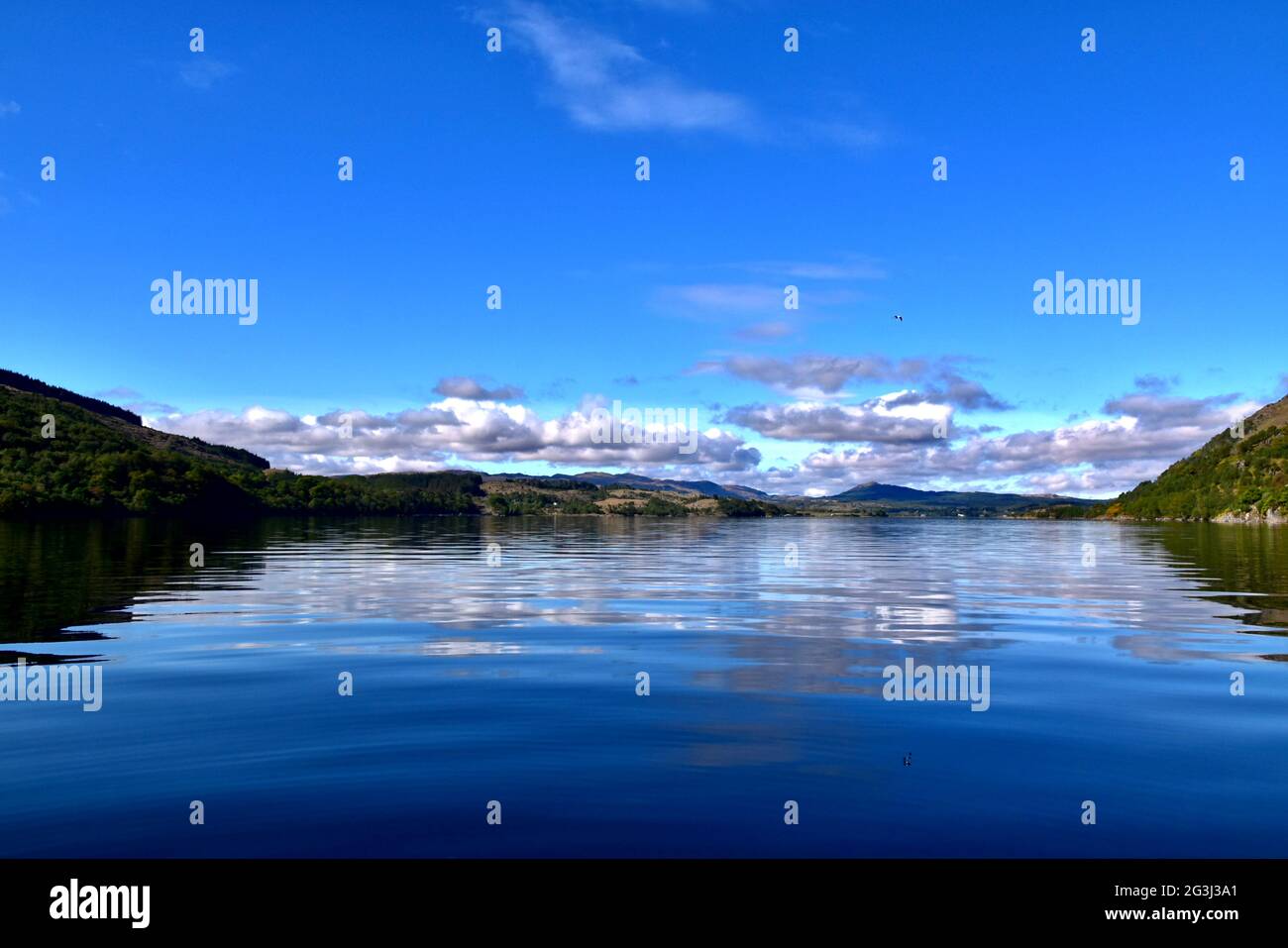 Il Bonawe Narrows su un Loch Etive. Foto Stock