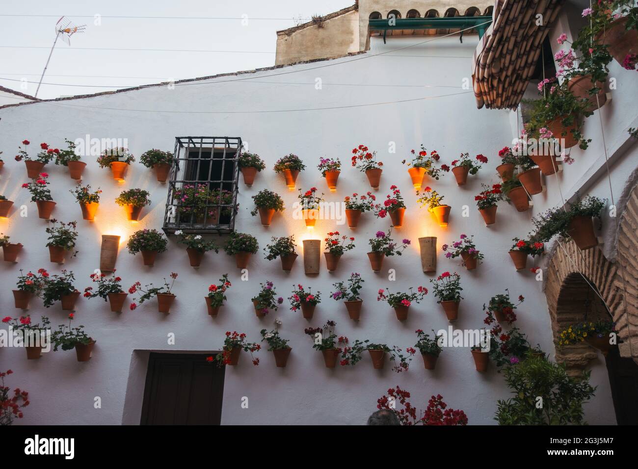 Le piante di pentola coprono cortili (patii) delle case dei residenti a Córdoba, Spagna, che si aprono al pubblico una volta all'anno come parte del Festival patio Foto Stock