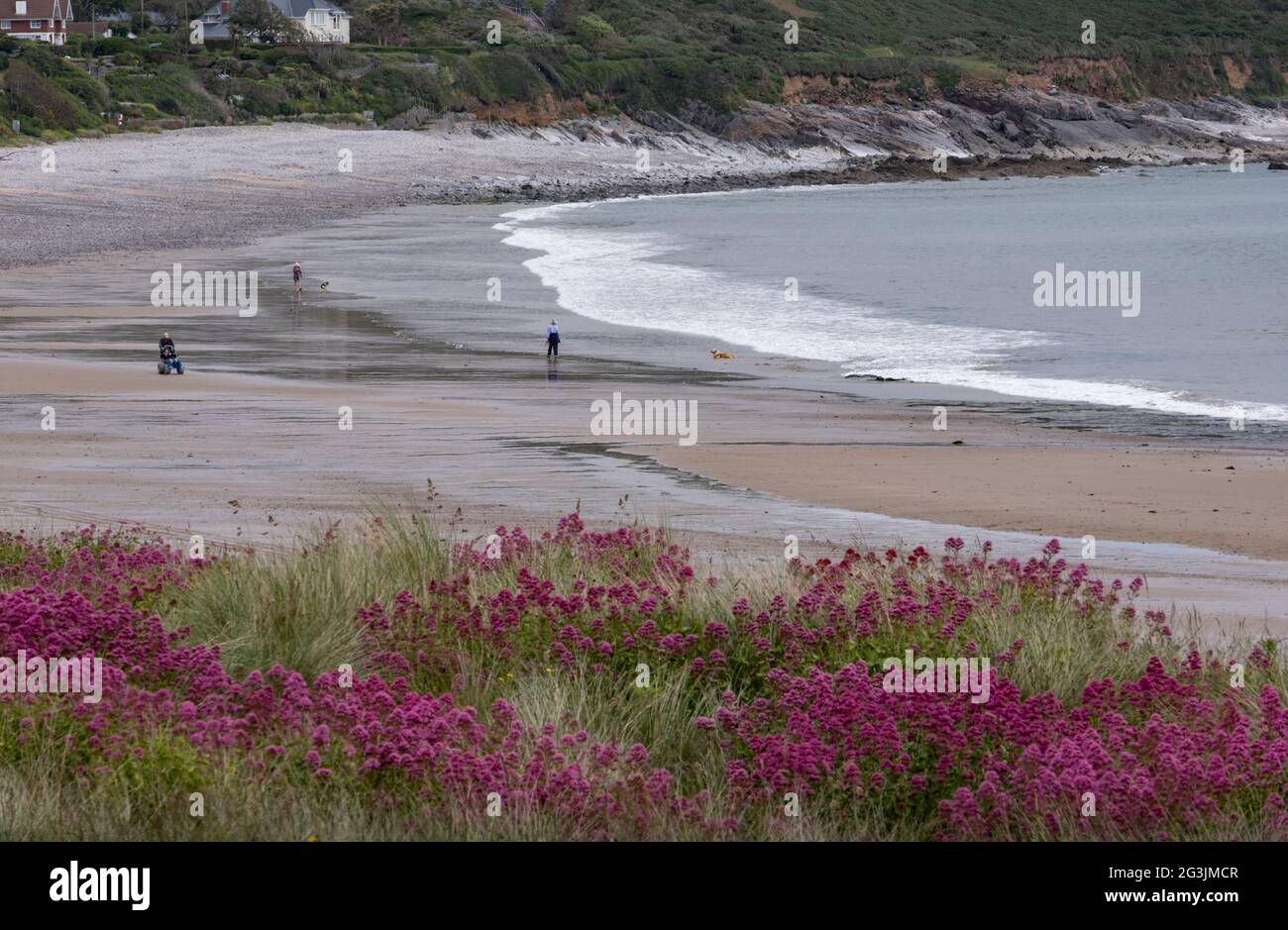 Una vista della spiaggia a Port Eynon nel Galles del Sud, parte dell'area della Penisola di Gower popolare tra i vacanzieri. Foto Stock