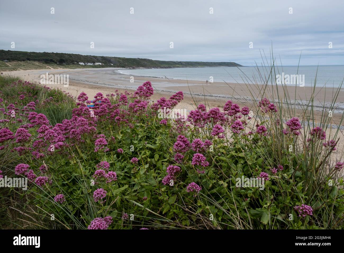 Una vista della spiaggia a Port Eynon nel Galles del Sud, parte dell'area della Penisola di Gower popolare tra i vacanzieri. Foto Stock