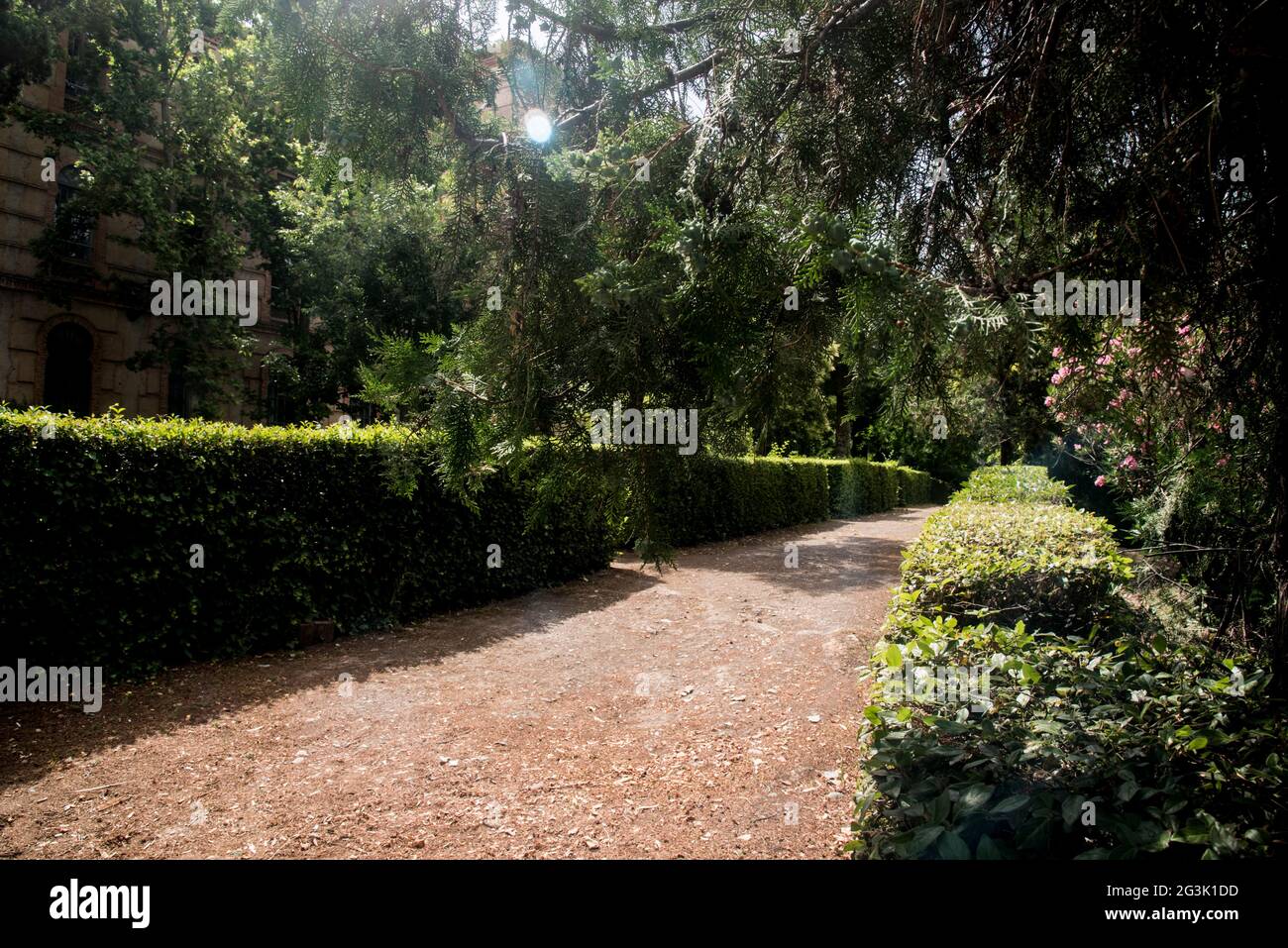 romantico giardino verdeggiante dal design geometrico Foto Stock