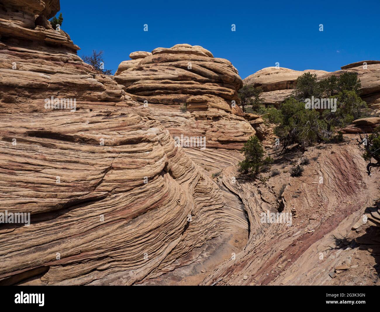 Arenaria Navajo a croce lungo il Confluence Trail, Needles District, Canyonlands National Park, Utah. Foto Stock