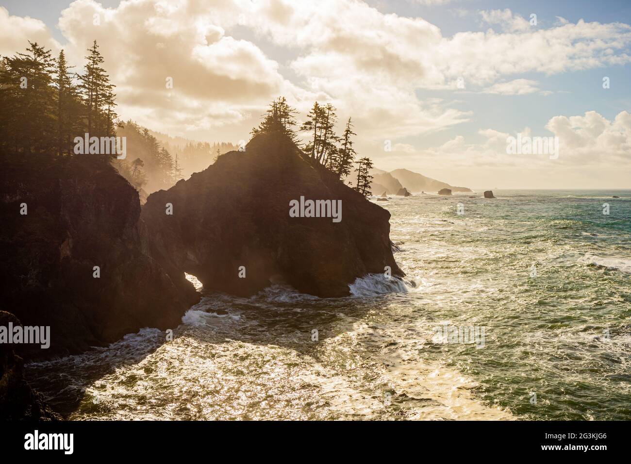 La penisola ricoperta di alberi e le onde viste da Seal Point nel Corridoio panoramico di Samuel H. Boardman state nell'Oregon meridionale, Stati Uniti Foto Stock