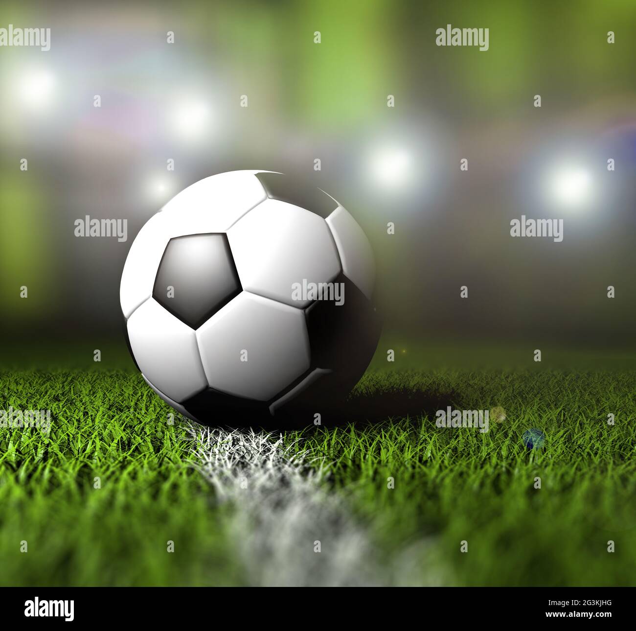 Calcio in erba Foto Stock