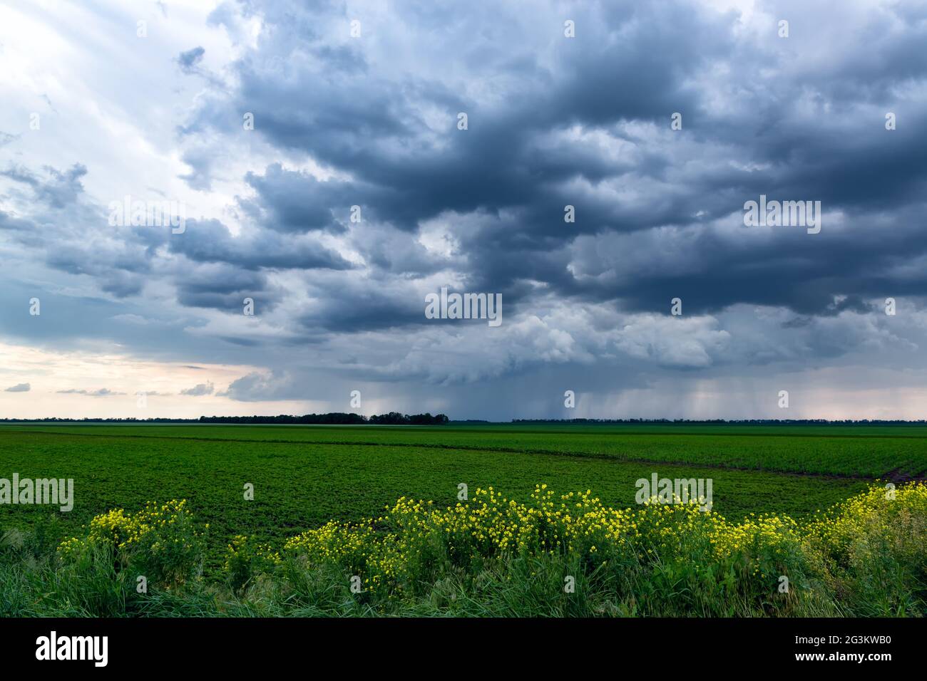 Cielo drammatico e tempestoso con forti piogge all'orizzonte. Splendido paesaggio rurale. Foto Stock