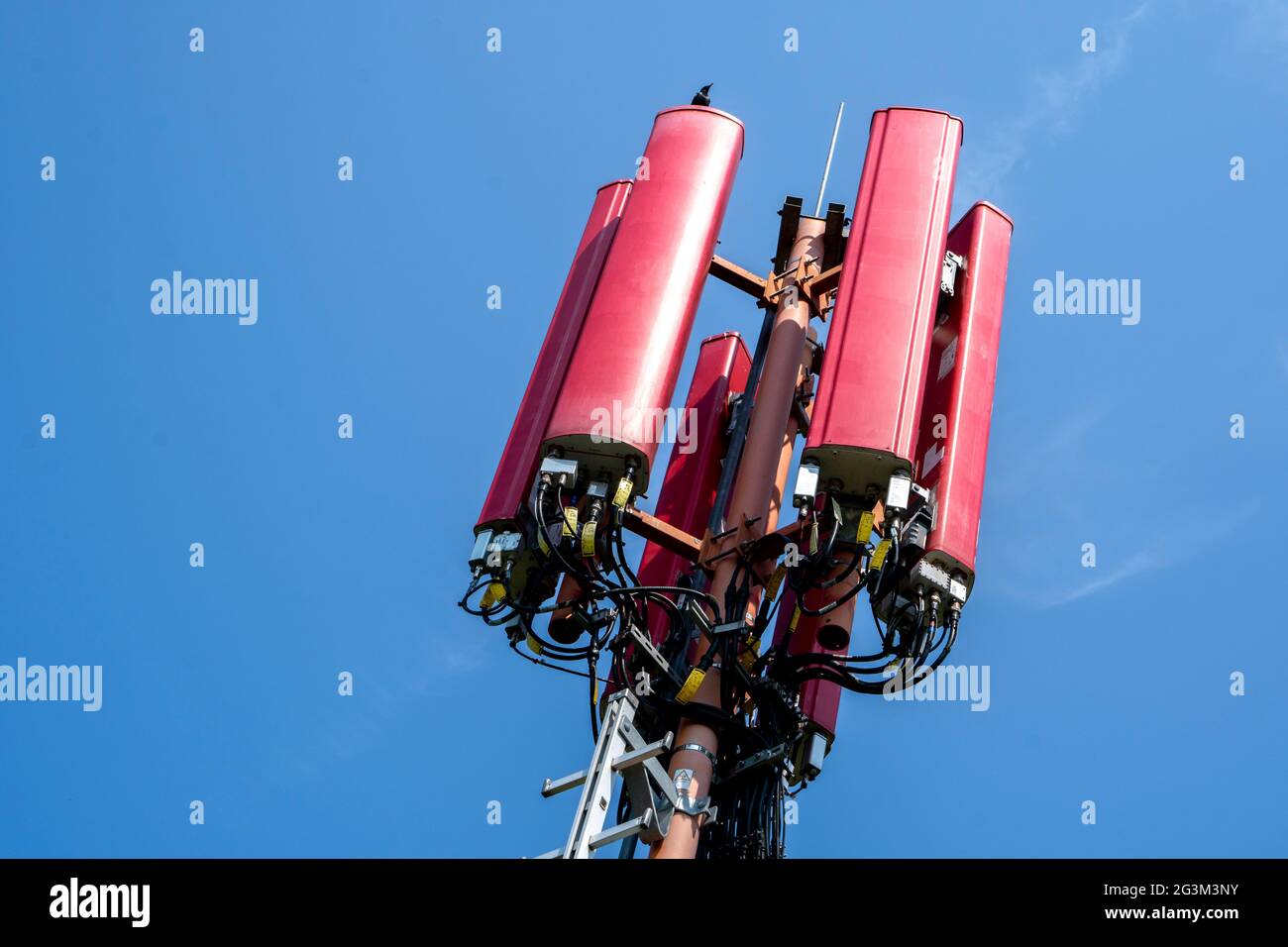 Antenna per telefono cellulare e Internet Foto Stock