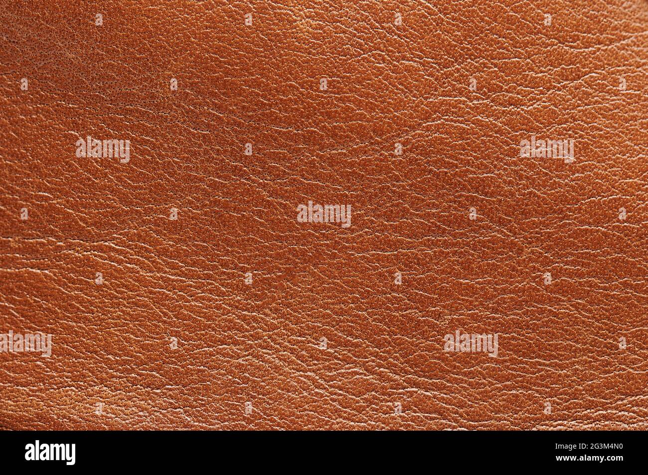 Vista ravvicinata della macro di superficie con texture marrone piatta Foto Stock
