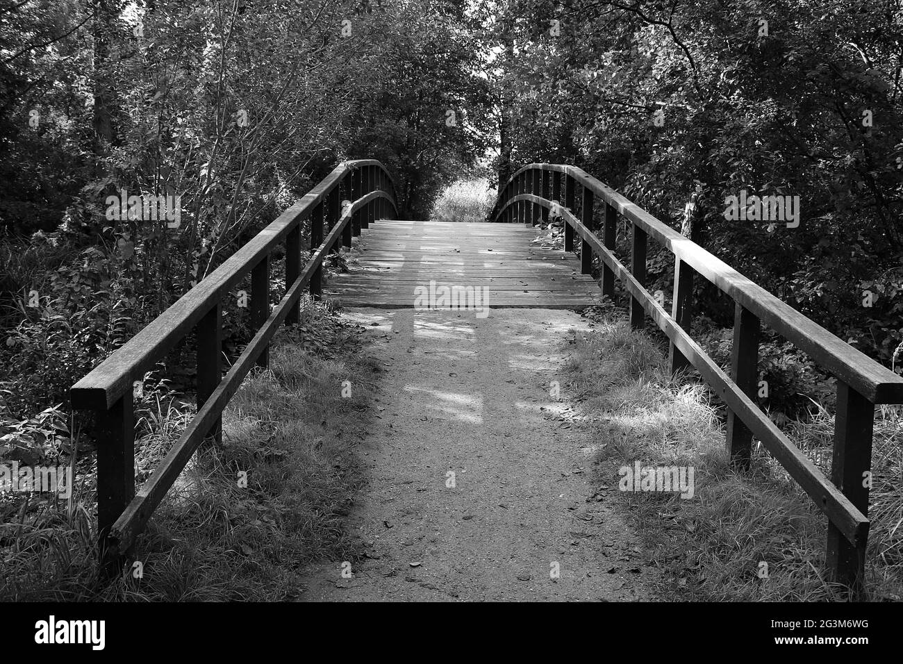 Scala di grigi di un vecchio ponte sul fiume circondato da alberi nel parco Foto Stock
