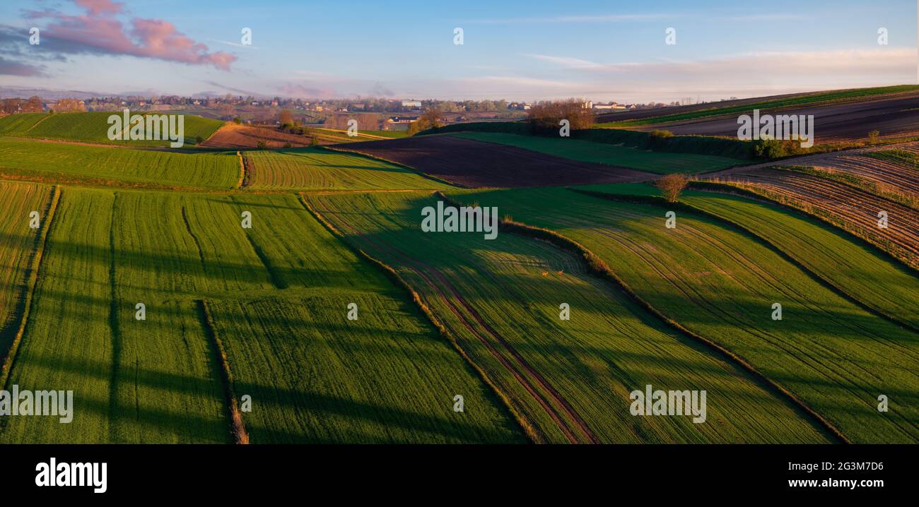 panorama primaverile dei campi coltivati estesamente ed ecologicamente Foto Stock
