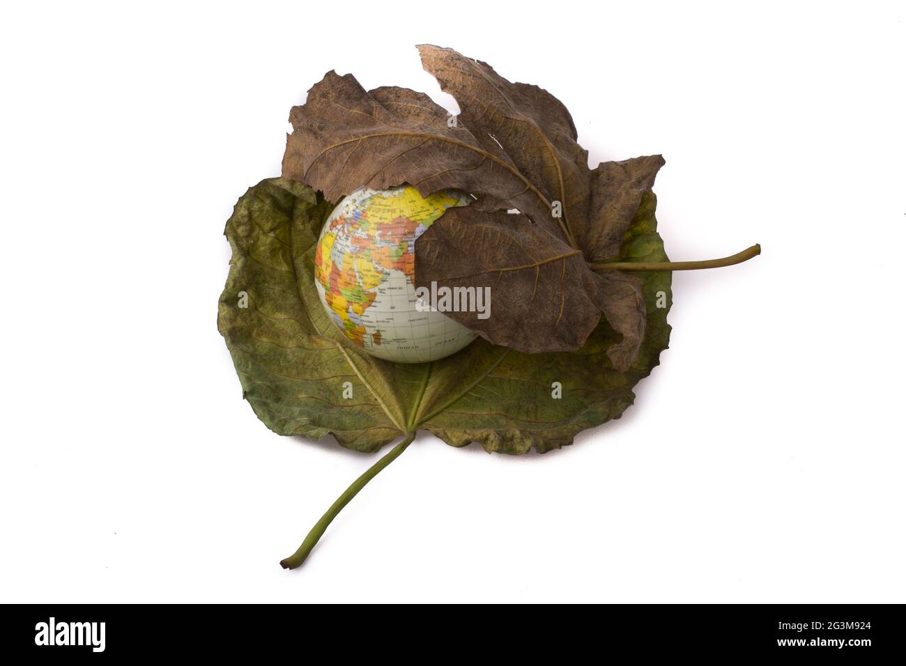 Piccolo modello globo posto tra due foglie d'autunno Foto Stock