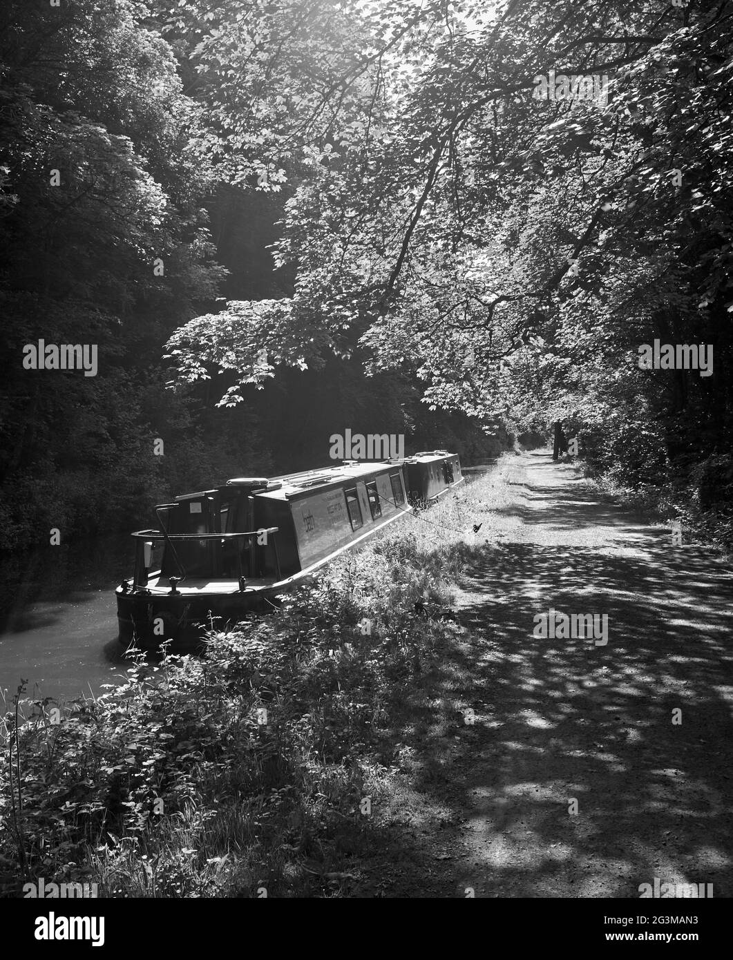 Canal LIFE sul canale Kennett & Avon, tra Bath e Bradford Upon Avon, Inghilterra sud-occidentale, Regno Unito Foto Stock