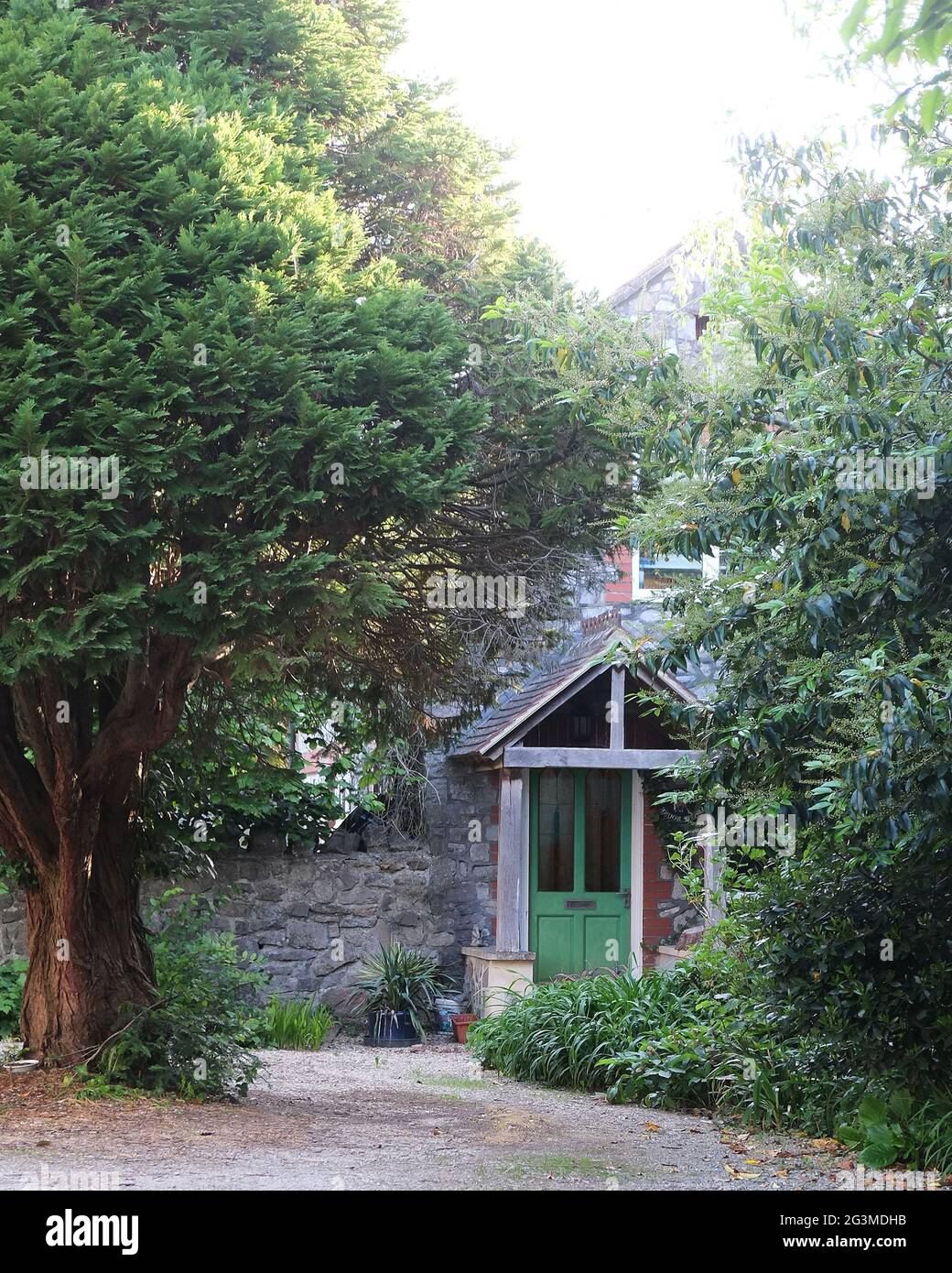 Giugno 2021 - porta verde della vecchia casa - significativamente alterato dall'immagine originale Foto Stock
