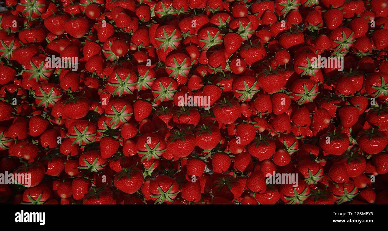 Fragole rosse mature, varietà di sfondo di fragole Foto Stock