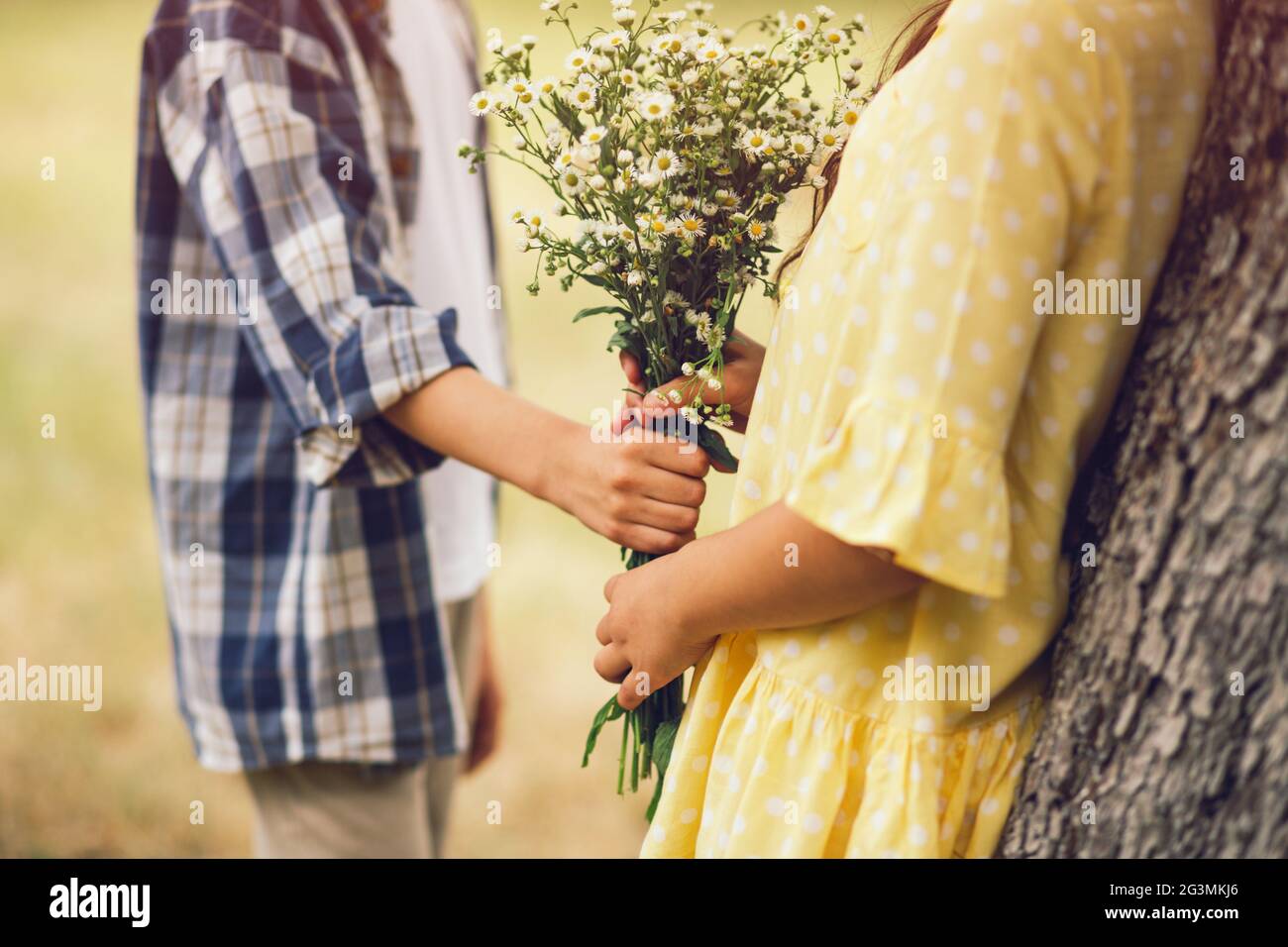 Little Boy dando bouqet di fiori a ragazza. Foto Stock