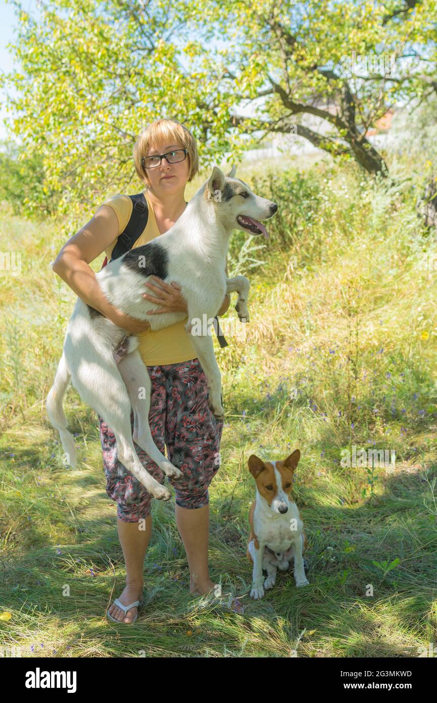 Bel ritratto esterno di donna Ucraina matura prendendo sulle mani grande cane di razza bianca mista, mentre basenji uno seduto accanto in frutteto albicocca a su Foto Stock