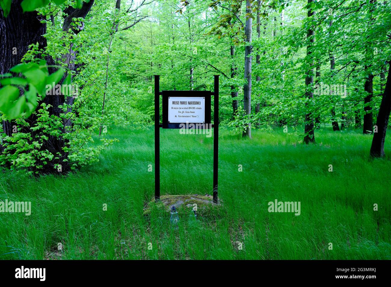 Walbrzych, Ksiaz, filiale di un campo di concentramento tedesco, Arbeitslager Fürstenstein, riese, la macchina della morte di Hitler Foto Stock