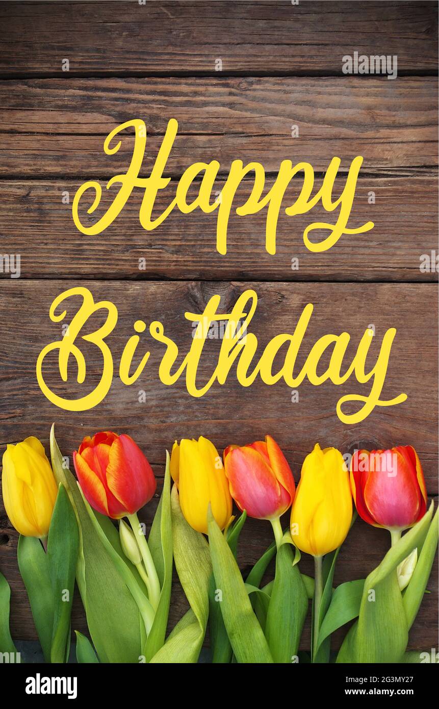 Happy birthday card colorful tulips immagini e fotografie stock ad alta  risoluzione - Alamy