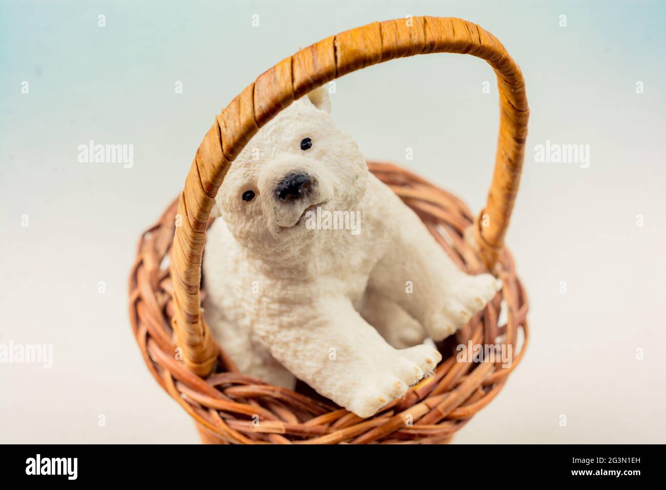 Modello di orso polare visto nel cesto Foto Stock