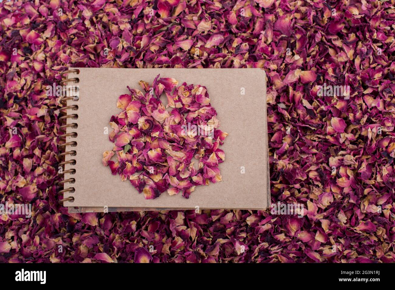 Petali di rosa asciutti su un notebook a spirale Foto Stock