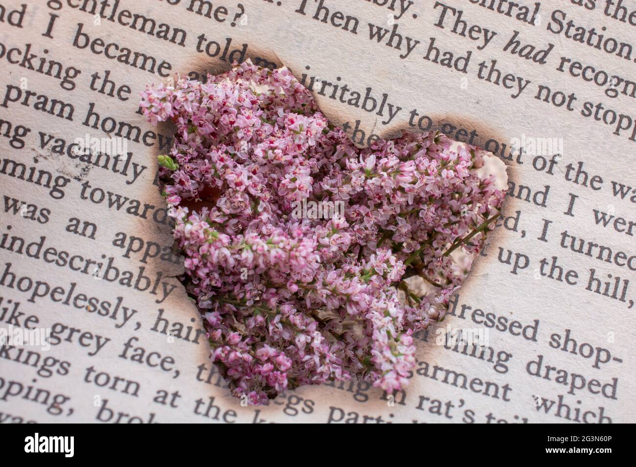 Fiori visti attraverso la forma di cuore Foto Stock