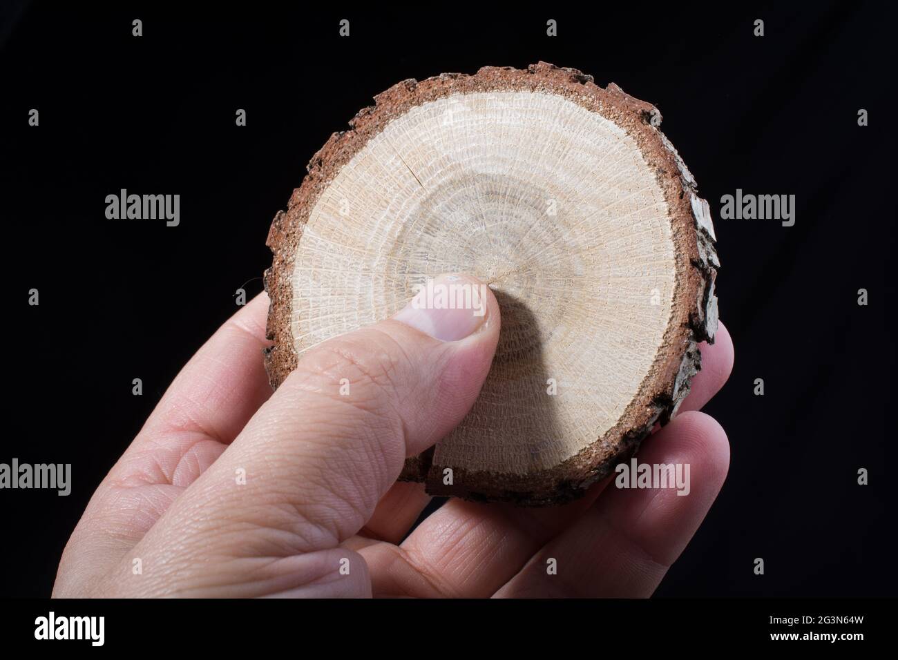 Piccolo pezzo di legno tagliato log in mano Foto Stock