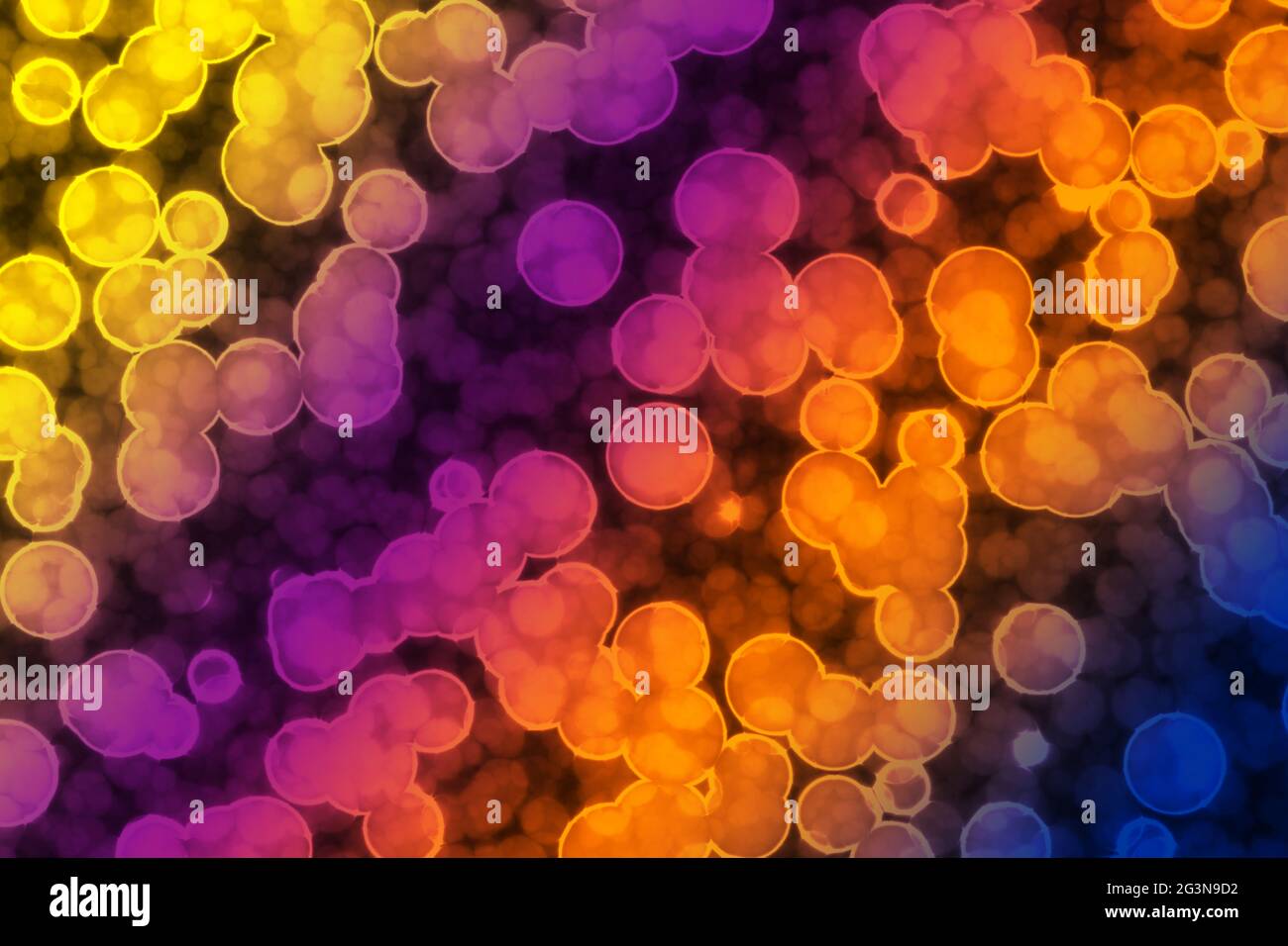 La forma della cellula batterica: cocchi, bacilli, spirilla batteri Foto Stock