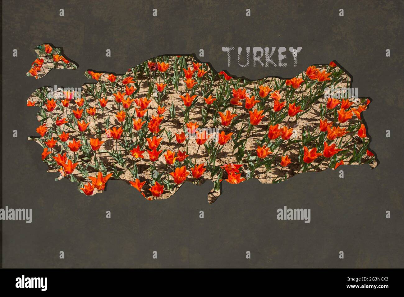 Mappa approssimativa della Turchia con riempimento giardino di tulipano Foto Stock
