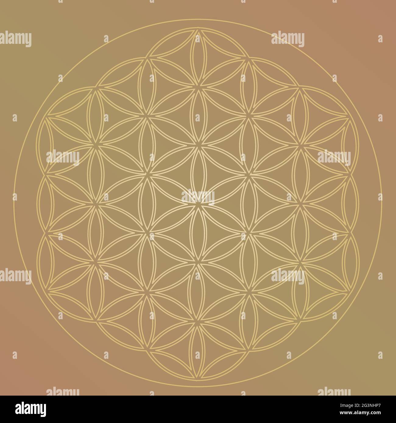 Fiore di simbolo di vita in colori oro, Cosmic Universe Energy Wheel Illustrazione Vettoriale