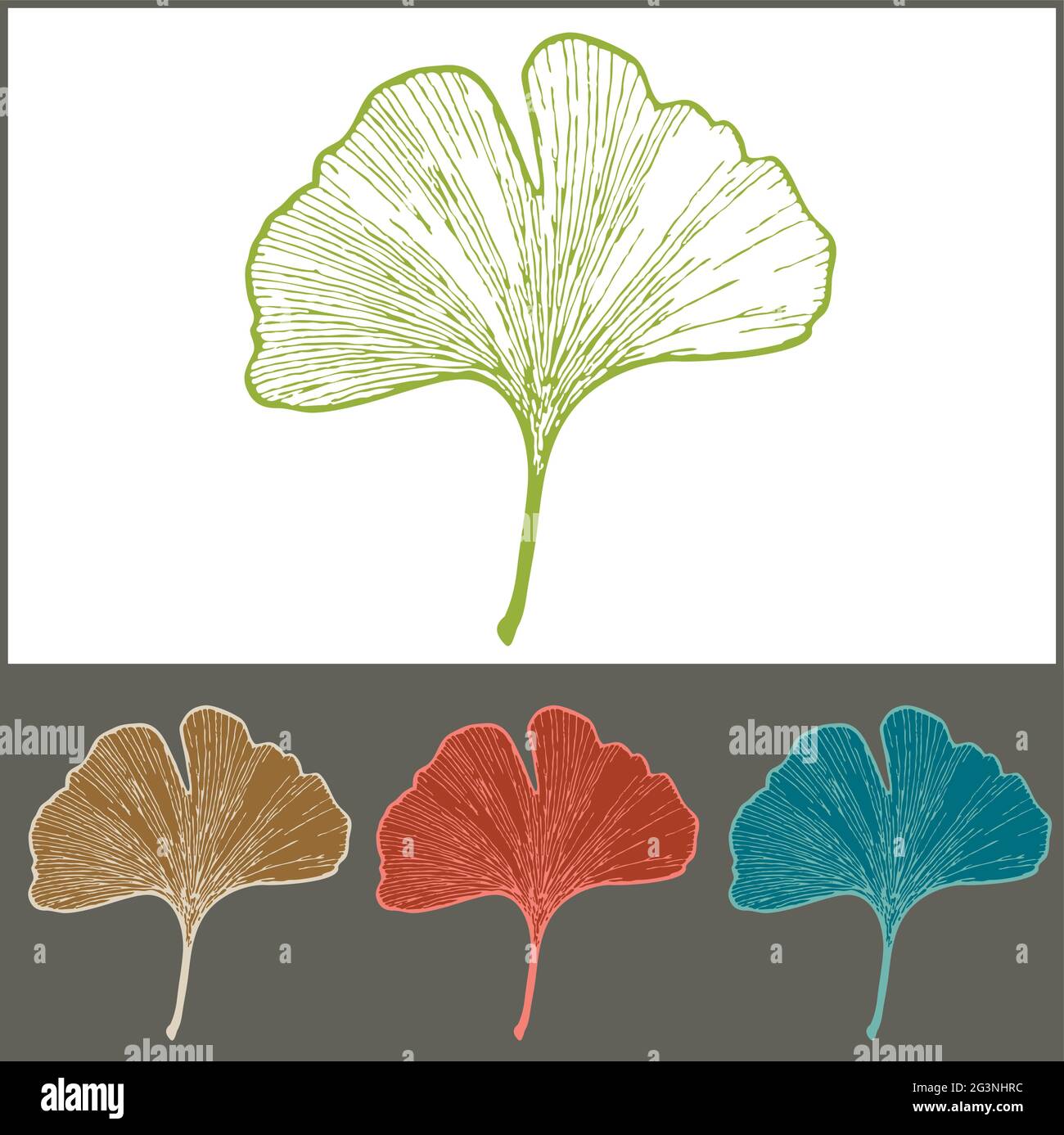 Foglie di Ginkgo isolate Illustrazione in vari colori - natura dentro Estate Illustrazione Vettoriale