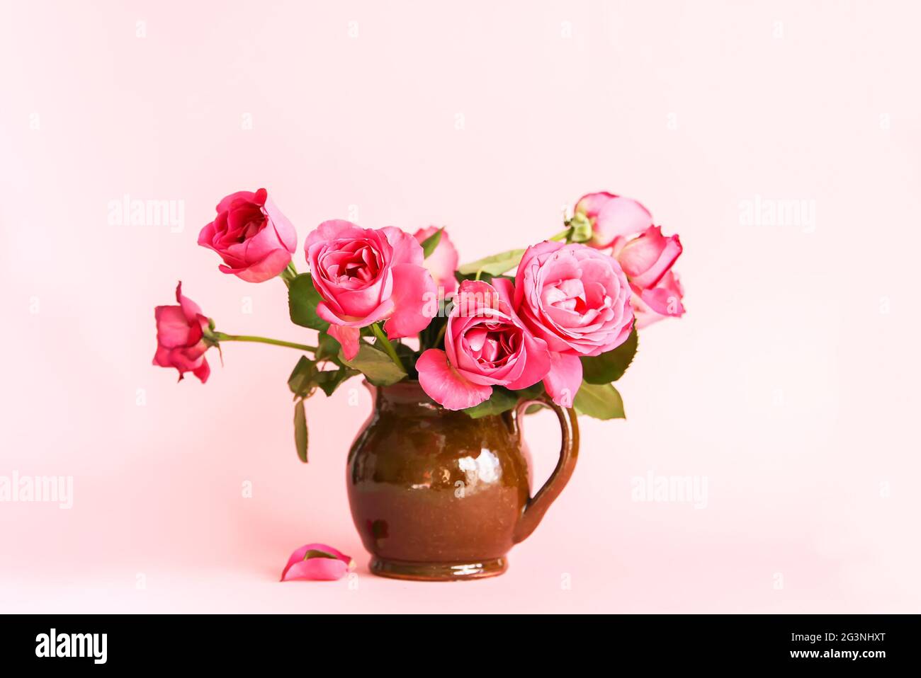 Belle rose su sfondo rosa in vaso di ceramica marrone Foto Stock