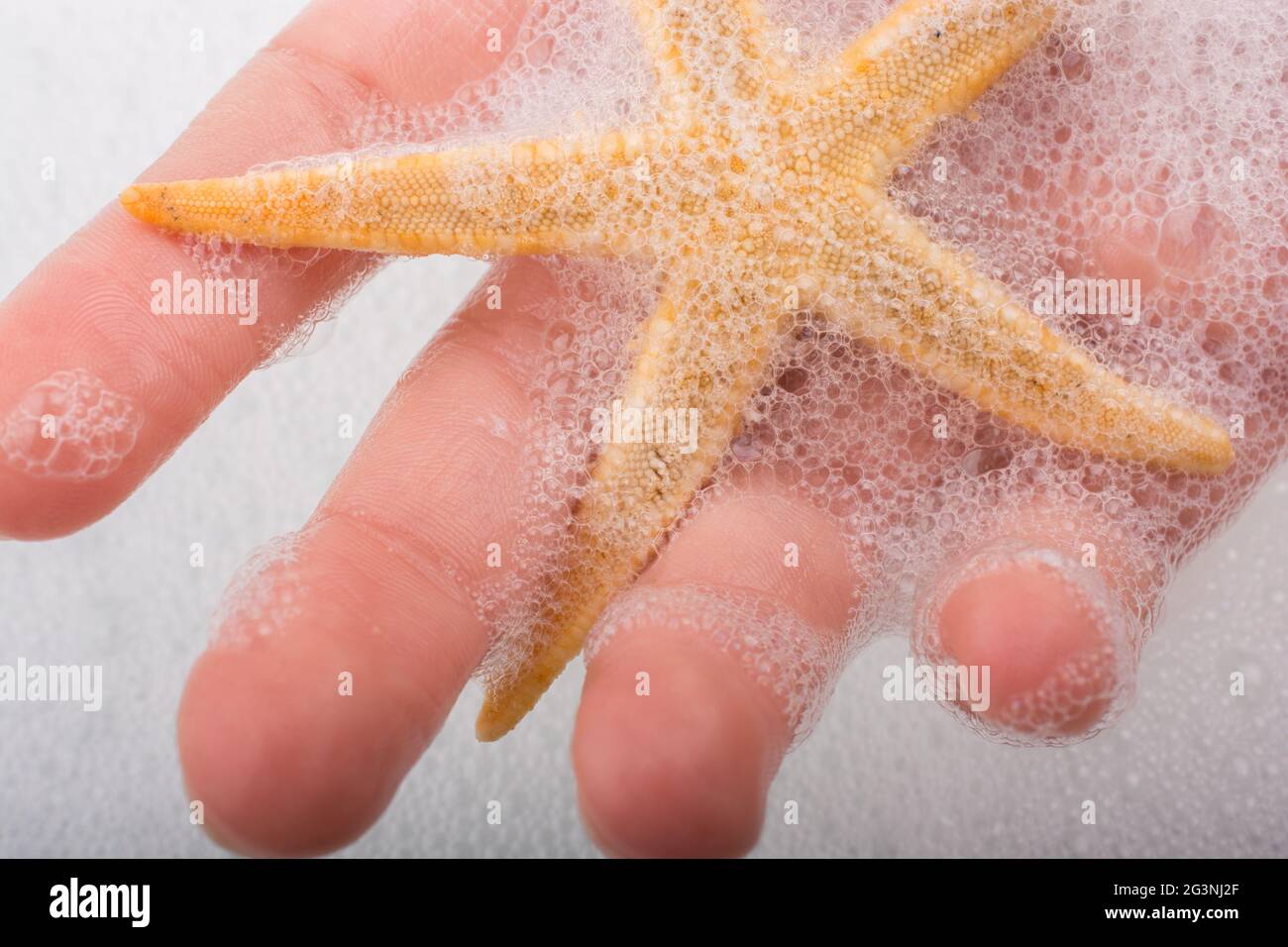 Tenere a mano le stelle marine in acqua schiumosa Foto Stock