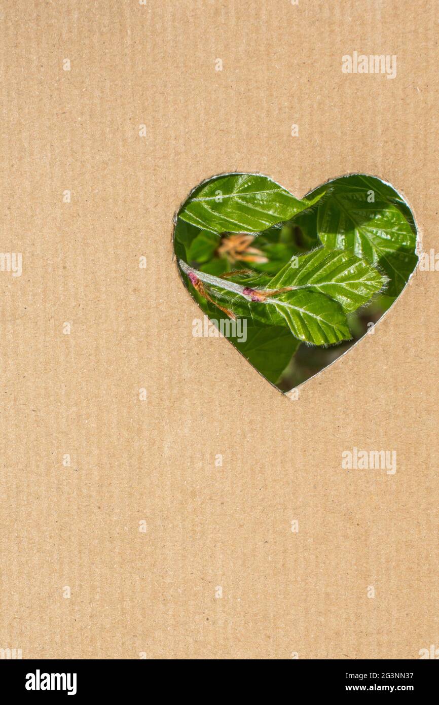 Foglie viste attraverso la forma del cuore Foto Stock