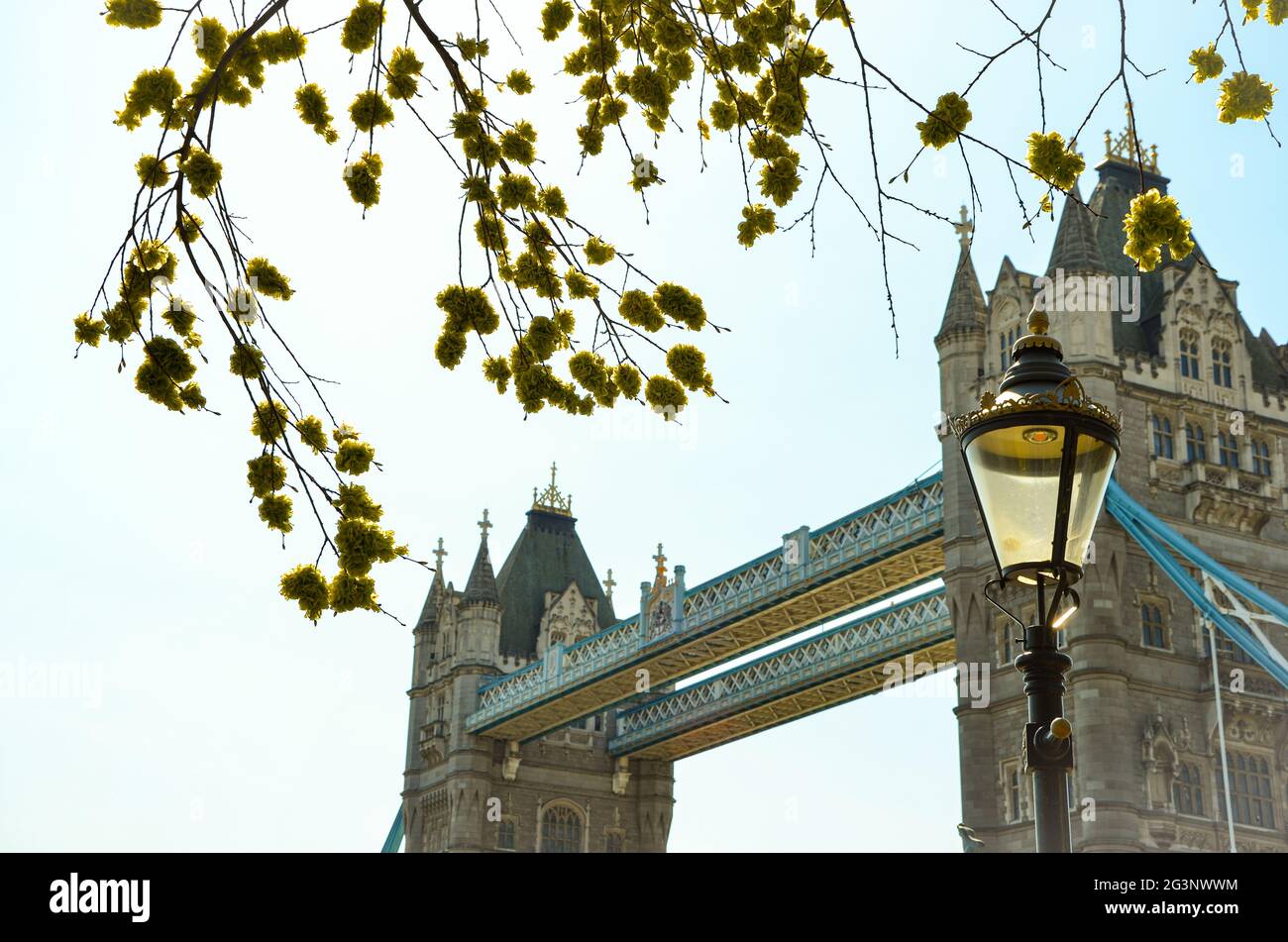 LONDRA, REGNO UNITO - 17 aprile 2021: Fotografia del Tower Bridge ripresa dal basso con fogliame in primo piano. Foto Stock