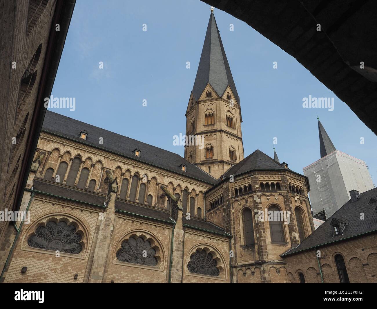 Bonner Muenster (Bonn Minster) chiesa della basilica di Bonn Foto Stock