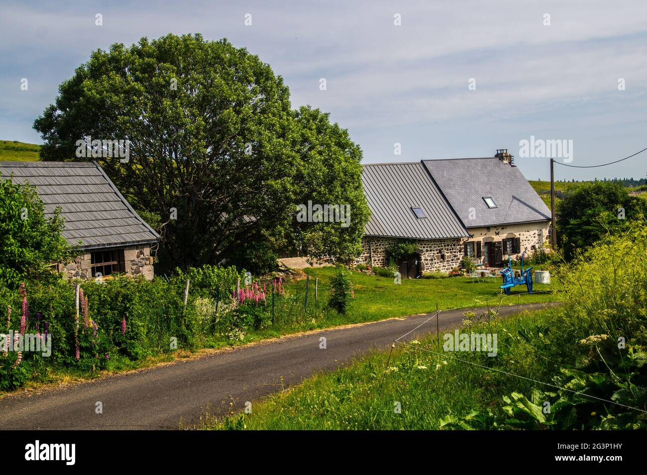 Parco naturale Foto Stock