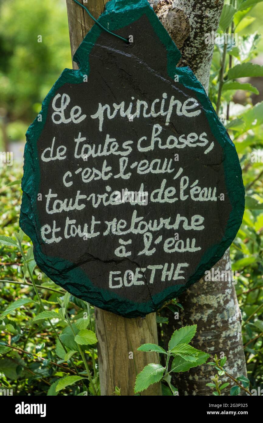 Frase dell'artista in margueride Foto Stock