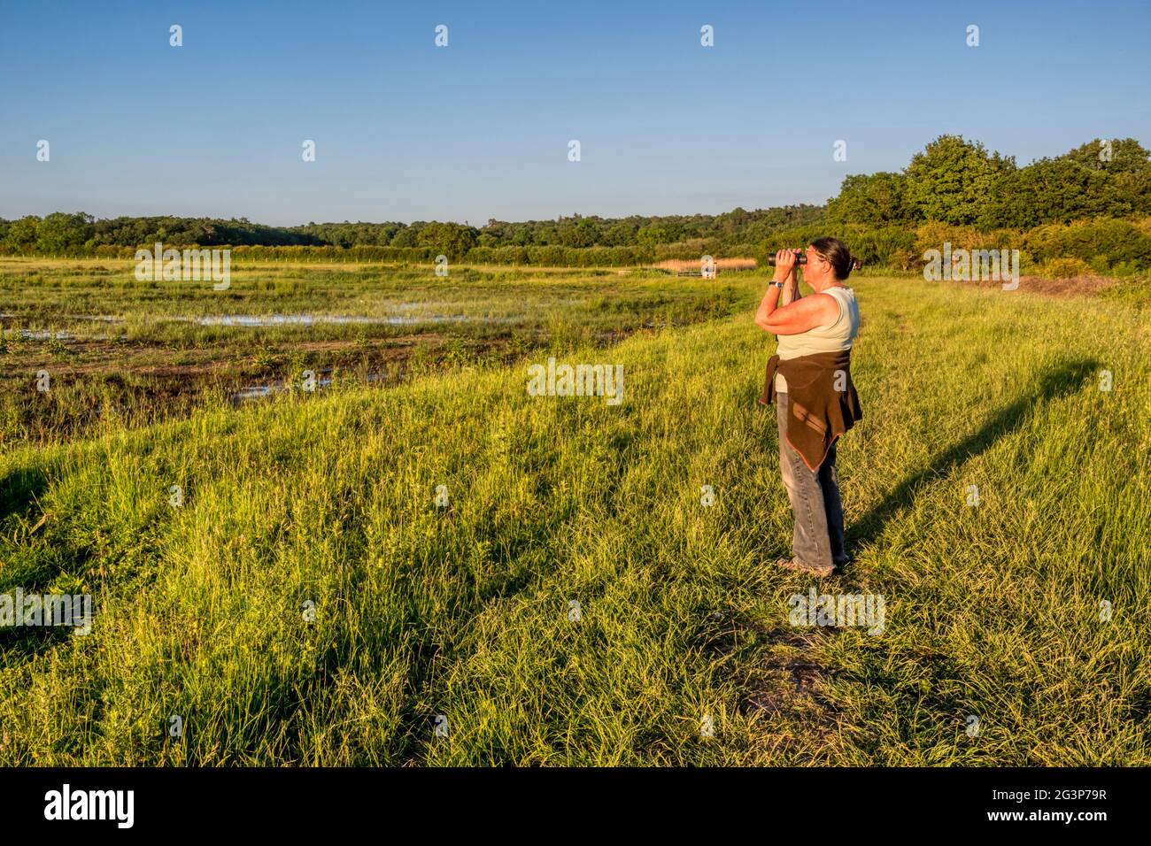 Donna birdwatching sulle paludi d'acqua dolce dietro la riva orientale del Wash a Norfolk. Foto Stock