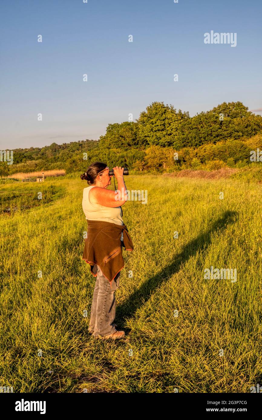Donna birdwatching sulle paludi d'acqua dolce dietro la riva orientale del Wash a Norfolk. Foto Stock