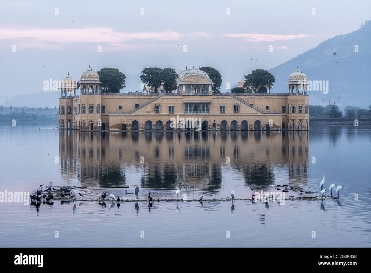 JAL mahal Water Palace alba Foto Stock