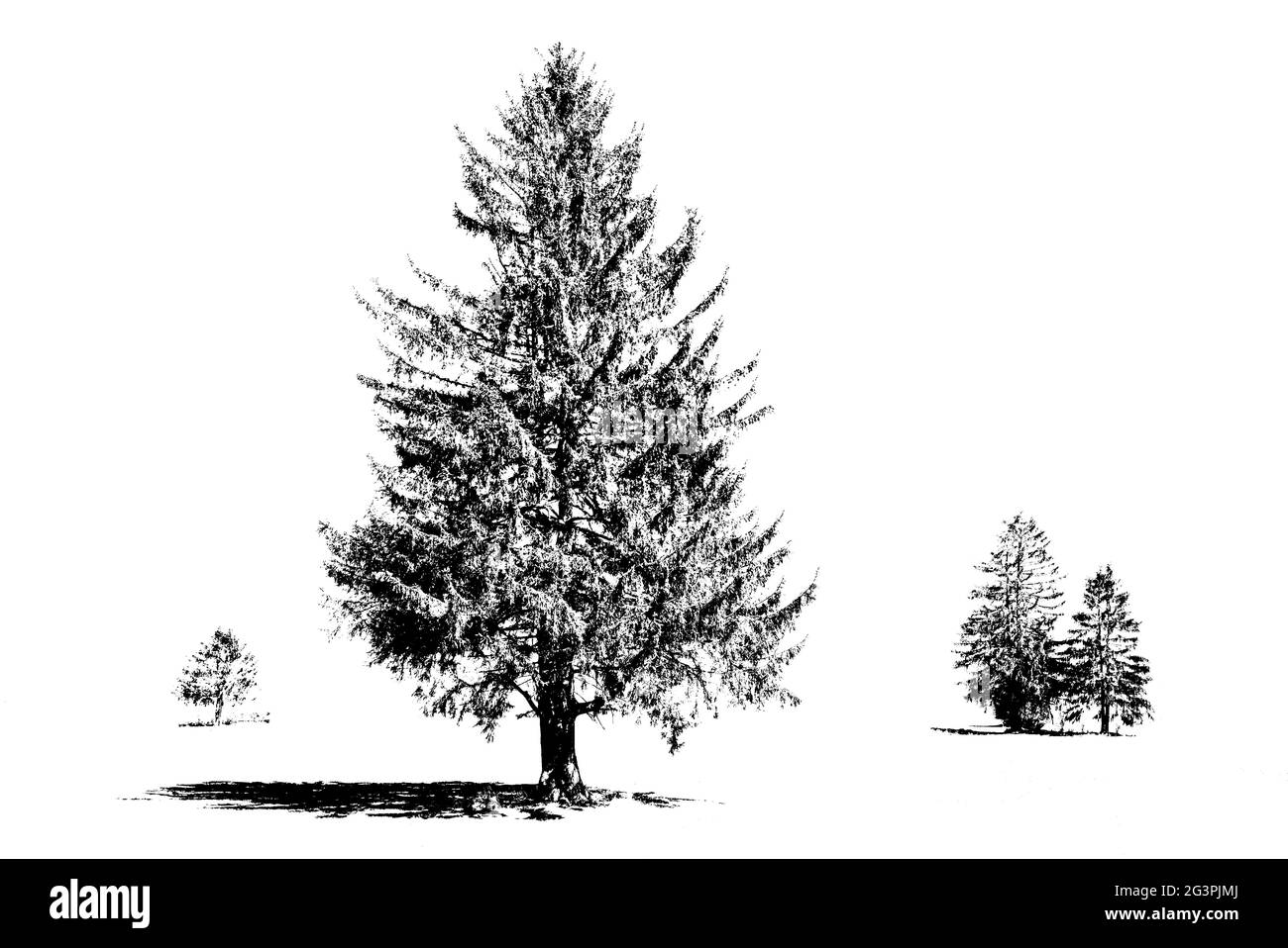 Alberi nel mese di marzo Foto Stock