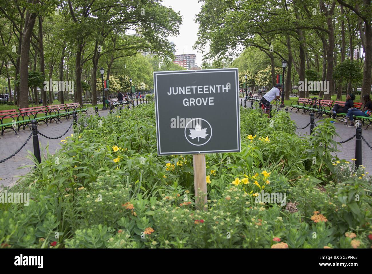 Garden area a Cadman Plaza chiamato Juneteicenth Grove, la festa che celebra l'emancipazione di coloro che erano stati schiavi negli Stati Uniti. Brooklyn, New York. Foto Stock