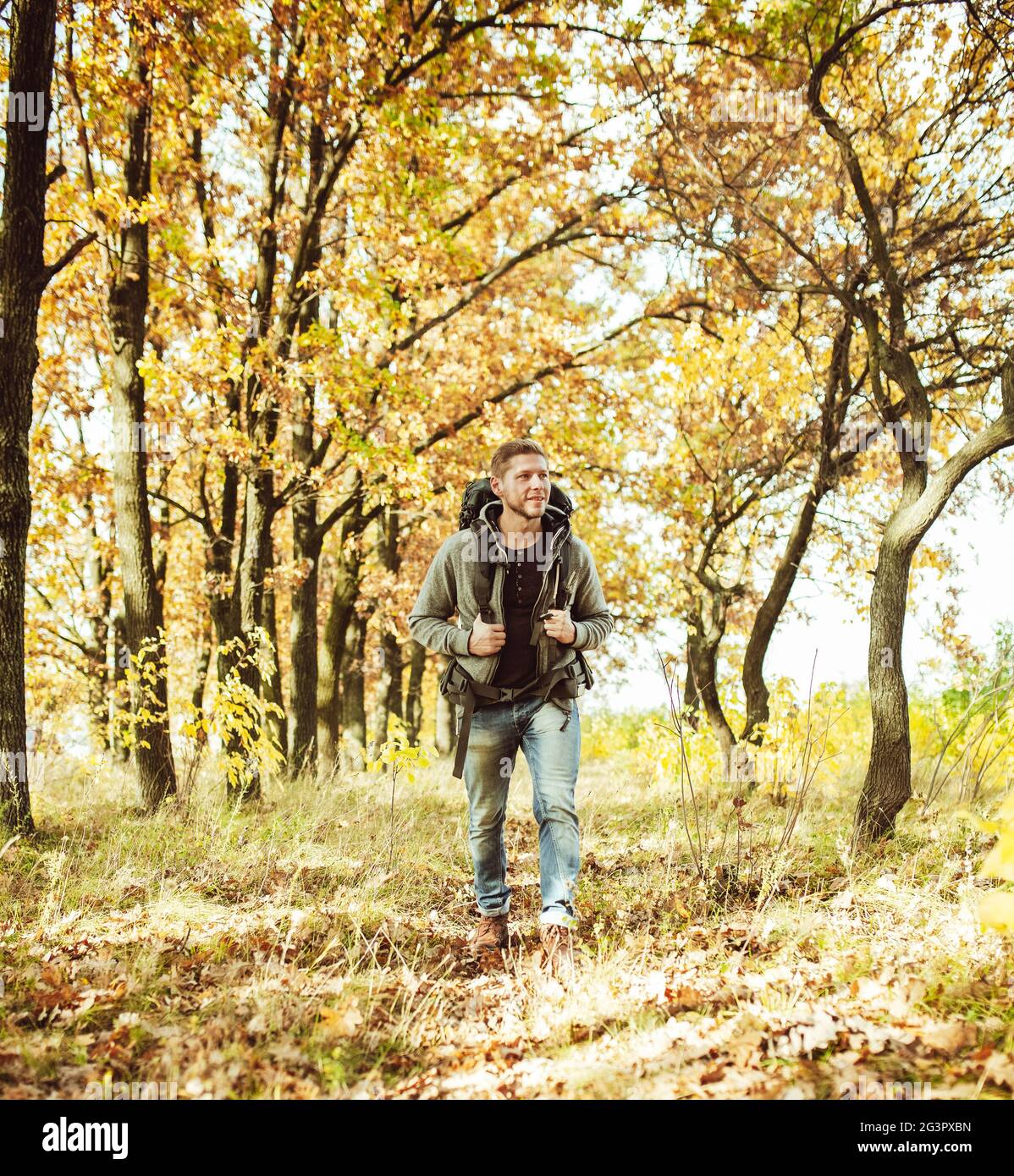 Viaggiatore zaino in spalla a piedi nella foresta d'autunno, giovane uomo caucasico in giacca grigia va lungo il percorso ammirando la bellezza della natura Foto Stock